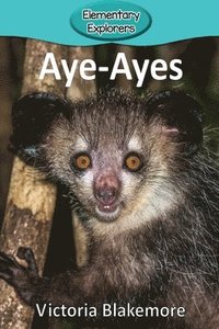 bokomslag Aye-Ayes