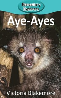 bokomslag Aye-Ayes