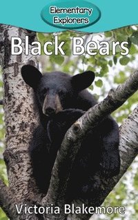 bokomslag Black Bears