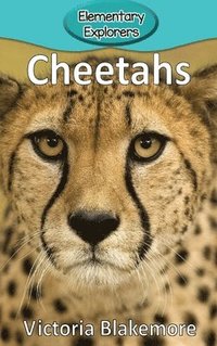 bokomslag Cheetahs