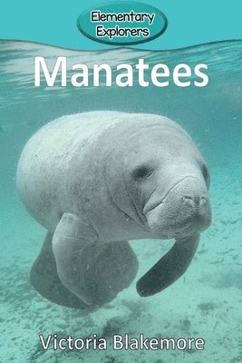 bokomslag Manatees