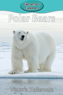 bokomslag Polar Bears