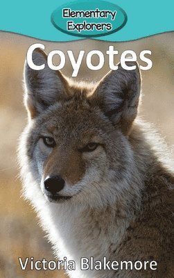 bokomslag Coyotes