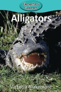 bokomslag Alligators