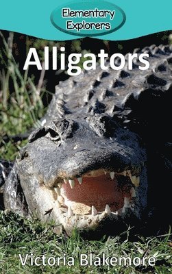 bokomslag Alligators