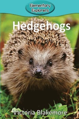 bokomslag Hedgehogs