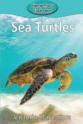 Sea Turtles 1