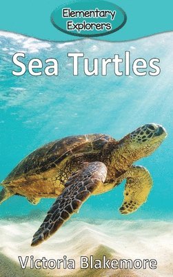 Sea Turtles 1