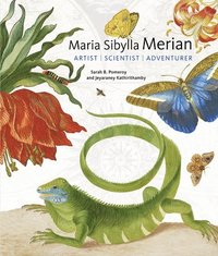 bokomslag Maria Sibylla Merian - Artist, Scientist, Adventurer