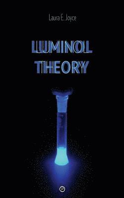 bokomslag Luminol Theory