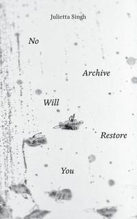bokomslag No Archive Will Restore You