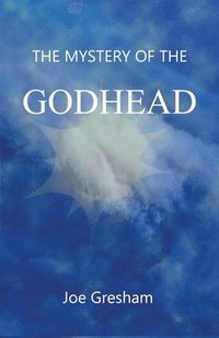 bokomslag The Mystery of the Godhead