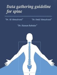 bokomslag Data Gathering Guideline for Spine