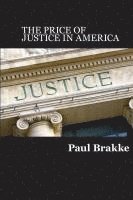 bokomslag The Price of Justice: Commentaries on the Criminal Justice System and Ways to Fix What's Wrong