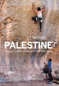 bokomslag Climbing Palestine