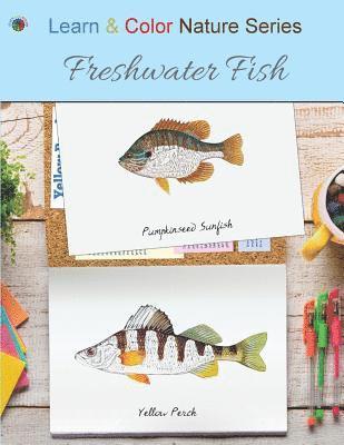 Freshwater Fish 1