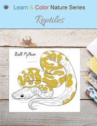 bokomslag Reptiles