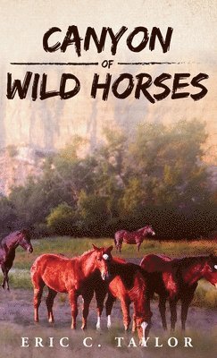 Canyon of Wild Horses 1