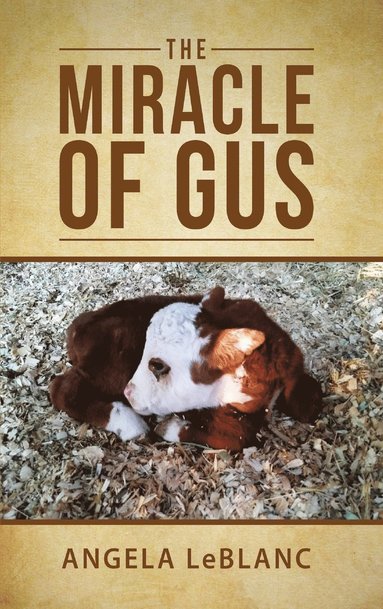 bokomslag The Miracle of Gus