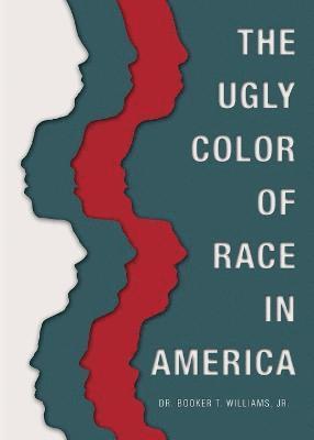 bokomslag Ugly Color of Race in America