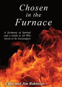 bokomslag Chosen in the Furnace