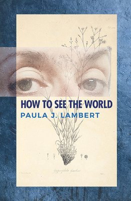 Paula J. Lambert - How to See the World: Poems, Häftad