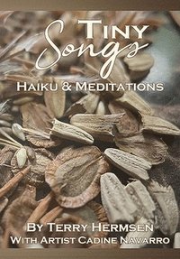 bokomslag Tiny Songs