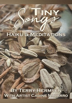 bokomslag Tiny Songs