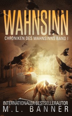 Wahnsinn