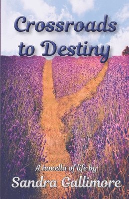 Stanley J. St Clair - Crossroads to Destiny: A Novella of Life, Häftad