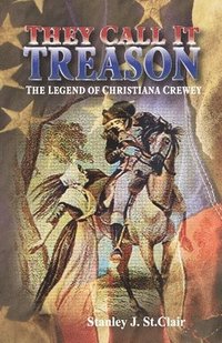 bokomslag They Call It Treason