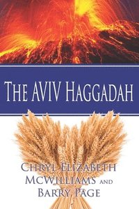 bokomslag The AVIV Haggadah