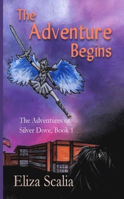 Adventure Begins The Adventures of Silver Dove, Book One