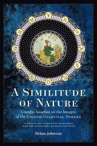 bokomslag Similitude of Nature