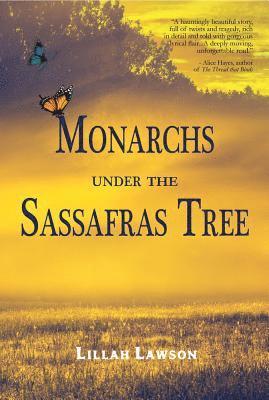 Monarchs Under the Sassafras Tree 1