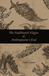 bokomslag The Nudibranch Elegies Anthropocene's End