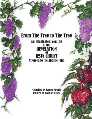 From The Tree to The Tree: An Illustrated Version of the Revelation of Jesus Christ as Given to the Apostle John 1