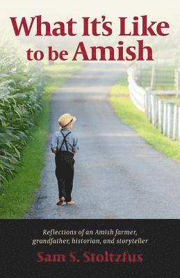 What It's Like to Be Amish 1