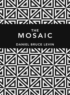 Daniel B. Levin - Mosaic, Inbunden