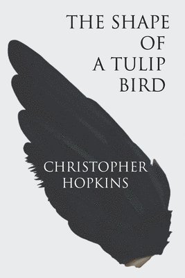 Shape of a Tulip Bird