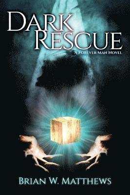 bokomslag Dark Rescue