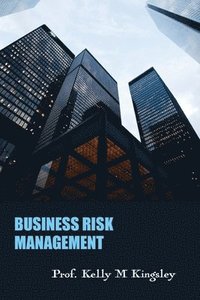 bokomslag Business Risk Management
