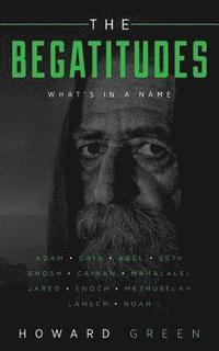 bokomslag The Begatitudes: What's in a Name