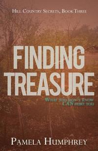 bokomslag Finding Treasure