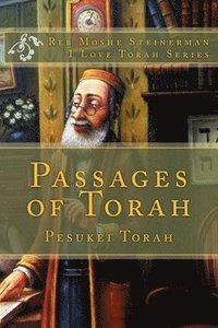 bokomslag Passages of Torah