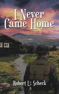 bokomslag I Never Came Home