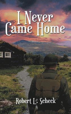 bokomslag I Never Came Home