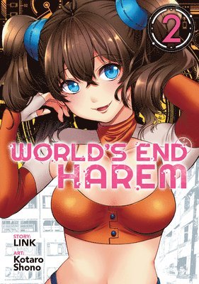 Link - World's End Harem Vol. 2, Häftad