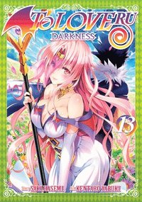 bokomslag To Love Ru Darkness Vol. 13