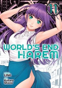 bokomslag World's End Harem Vol. 11